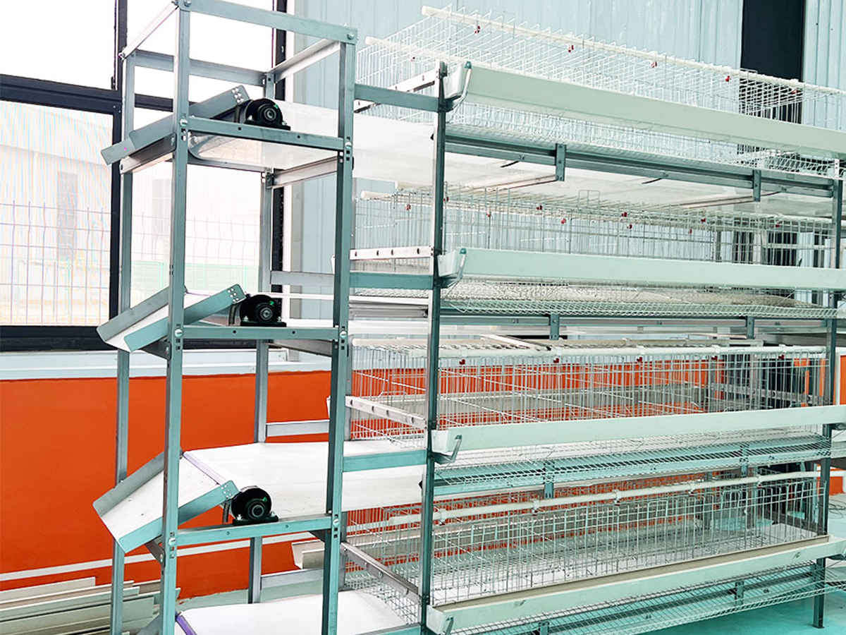 Manure Dropping Boards Between Tiers